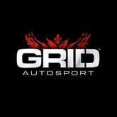 GRID Autosport   Цифровая версия - фото